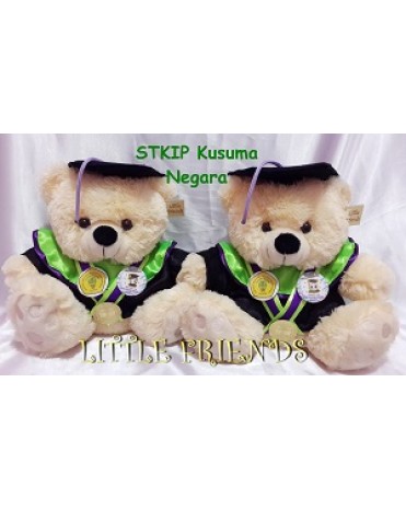 Boneka Wisuda STKIP Kusuma Negara (30 cm)